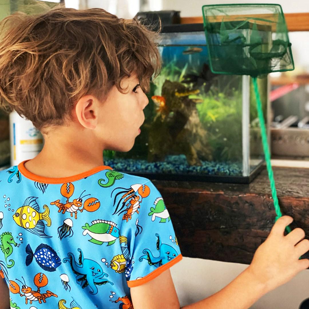 Småfolk - Fish Short Sleeved Top (Blue Grotto) (4-5 Years)