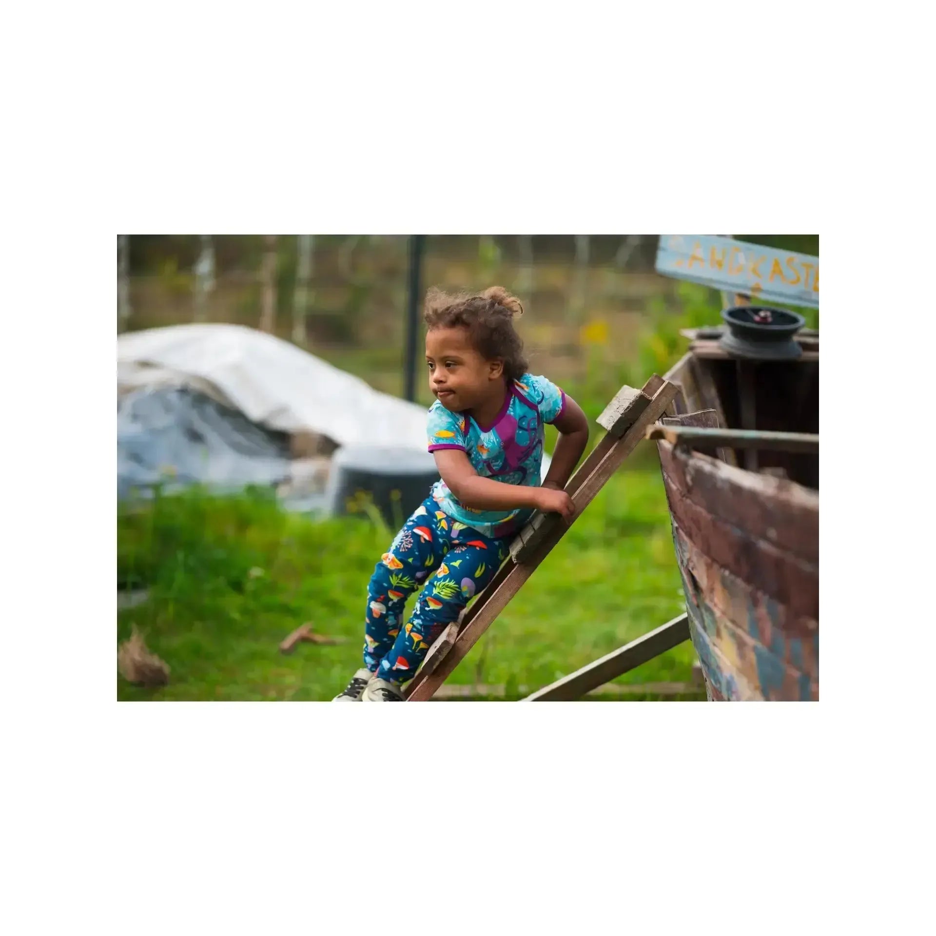 Merle - Forest At Night Leggings