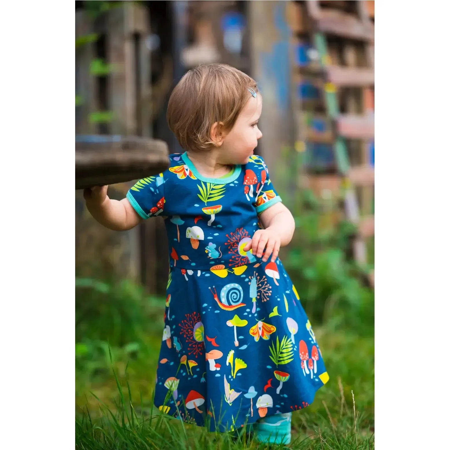 Merle - Forest At Night Skater Dress