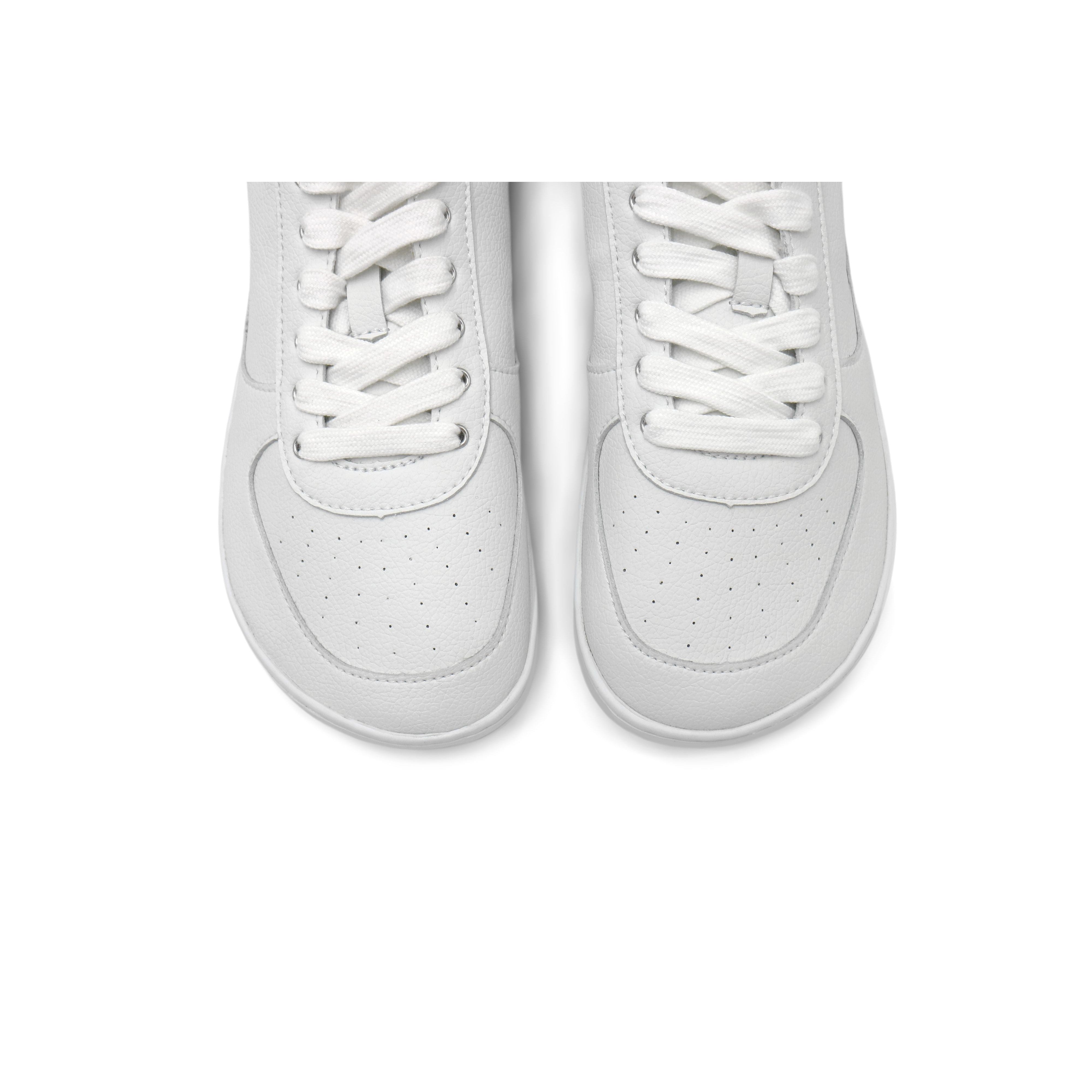 Paperkrane - White Lows