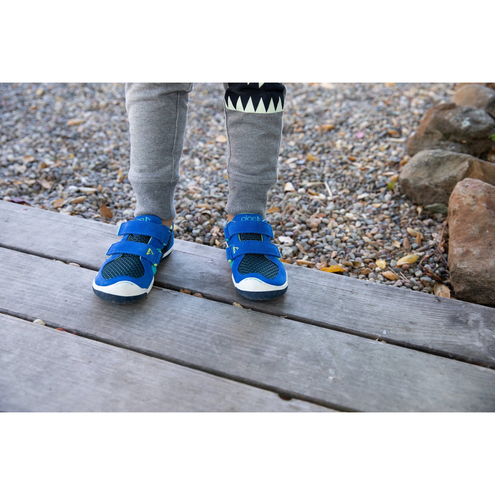 Plae - ty Hyper Blue