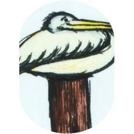 Hoopla Kids - Pelican Fix It Kit (2-pack)