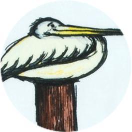 Hoopla Kids - Pelican Fix It Kit (2-pack)