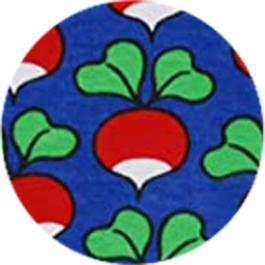 Hoopla Kids - Radish Fix It Kit (2-pack)