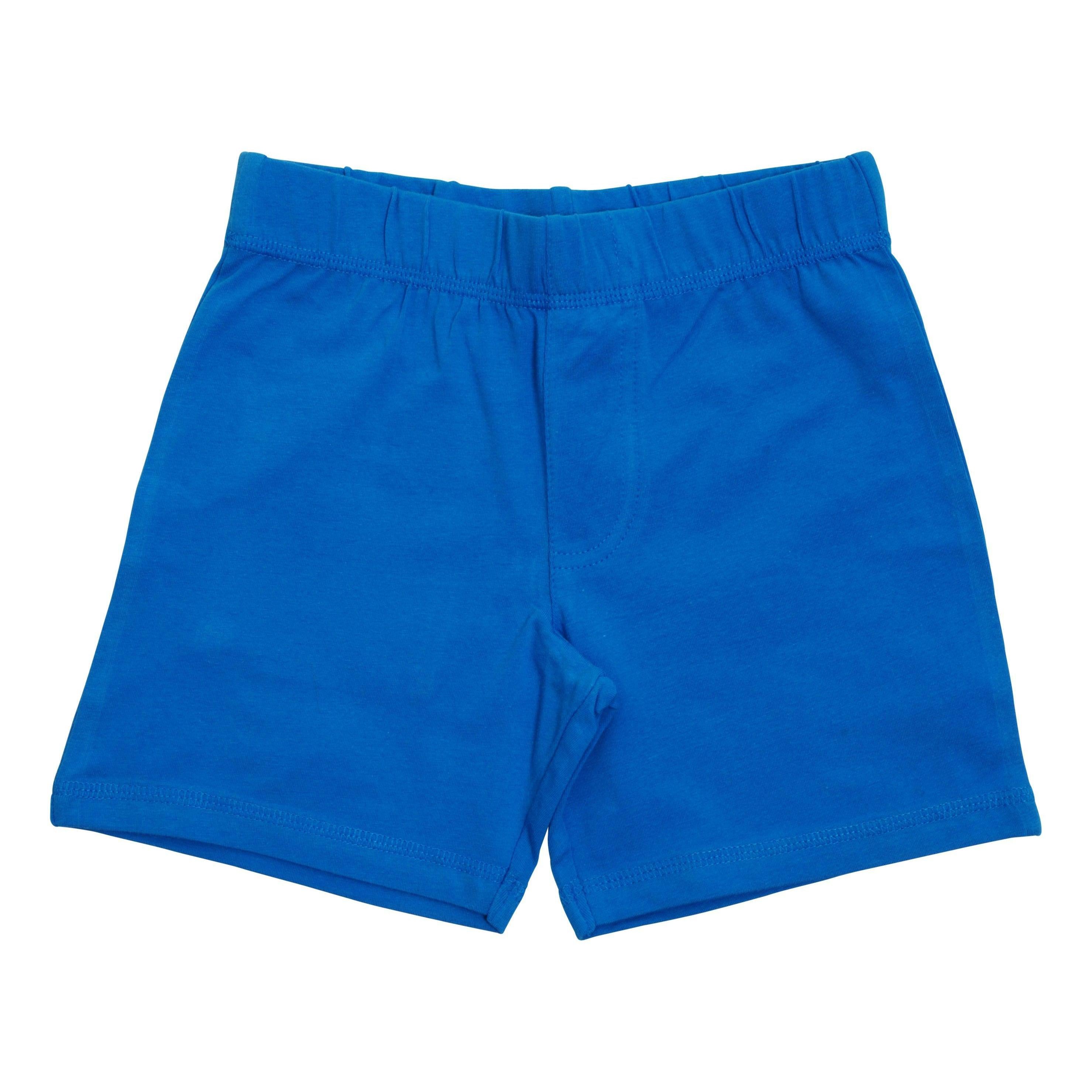 More than a FLING - Blue Aster Shorts