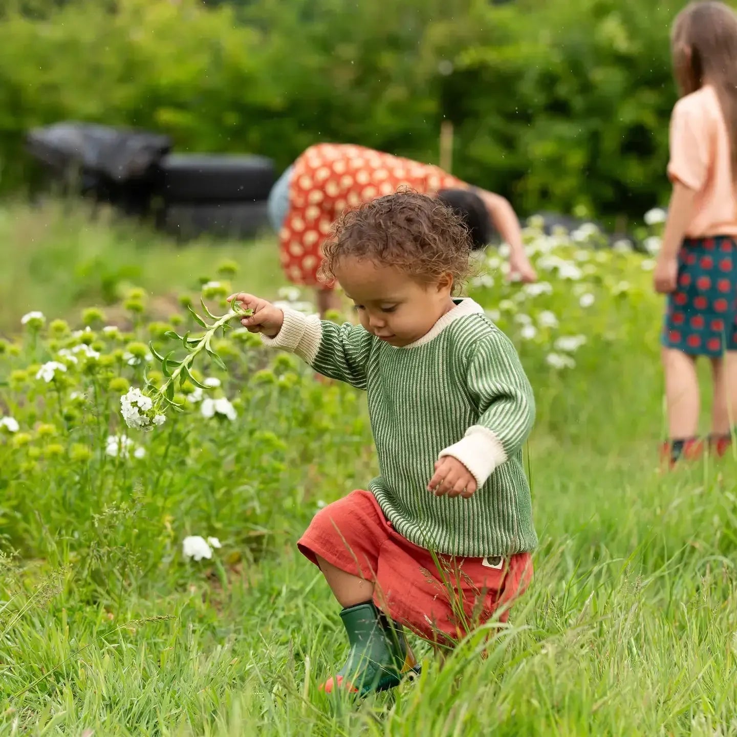 Little Green Radicals - Garden Green Knitted Jumper