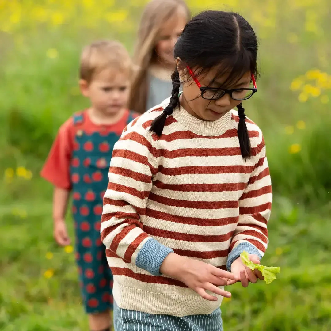 Little Green Radicals - Ginger Striped Knitted Jumper