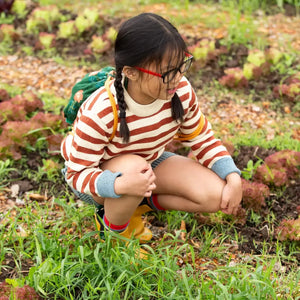 Little Green Radicals - Ginger Striped Knitted Jumper
