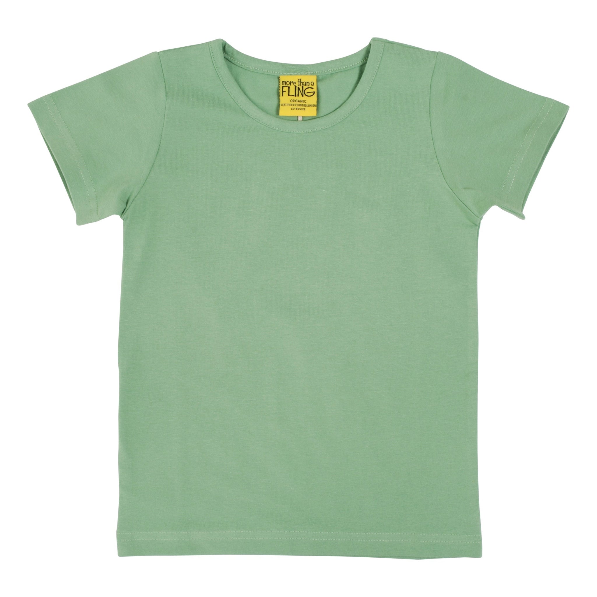 More Than A FLING - Mineral Green Short Sleeved Top (2-4 Years)