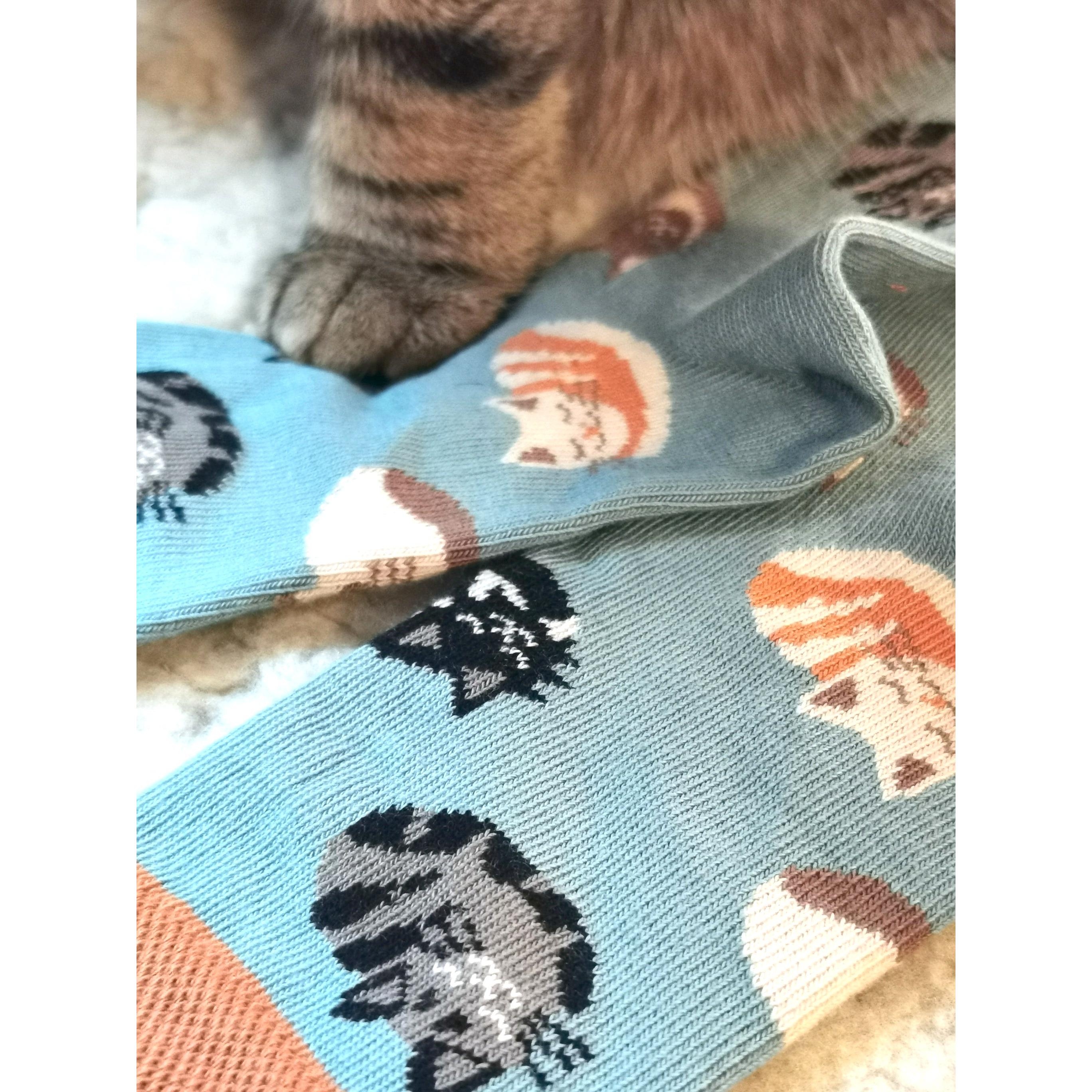 Fräulein Prusselise - Organic Crew Socks - Cat Gang