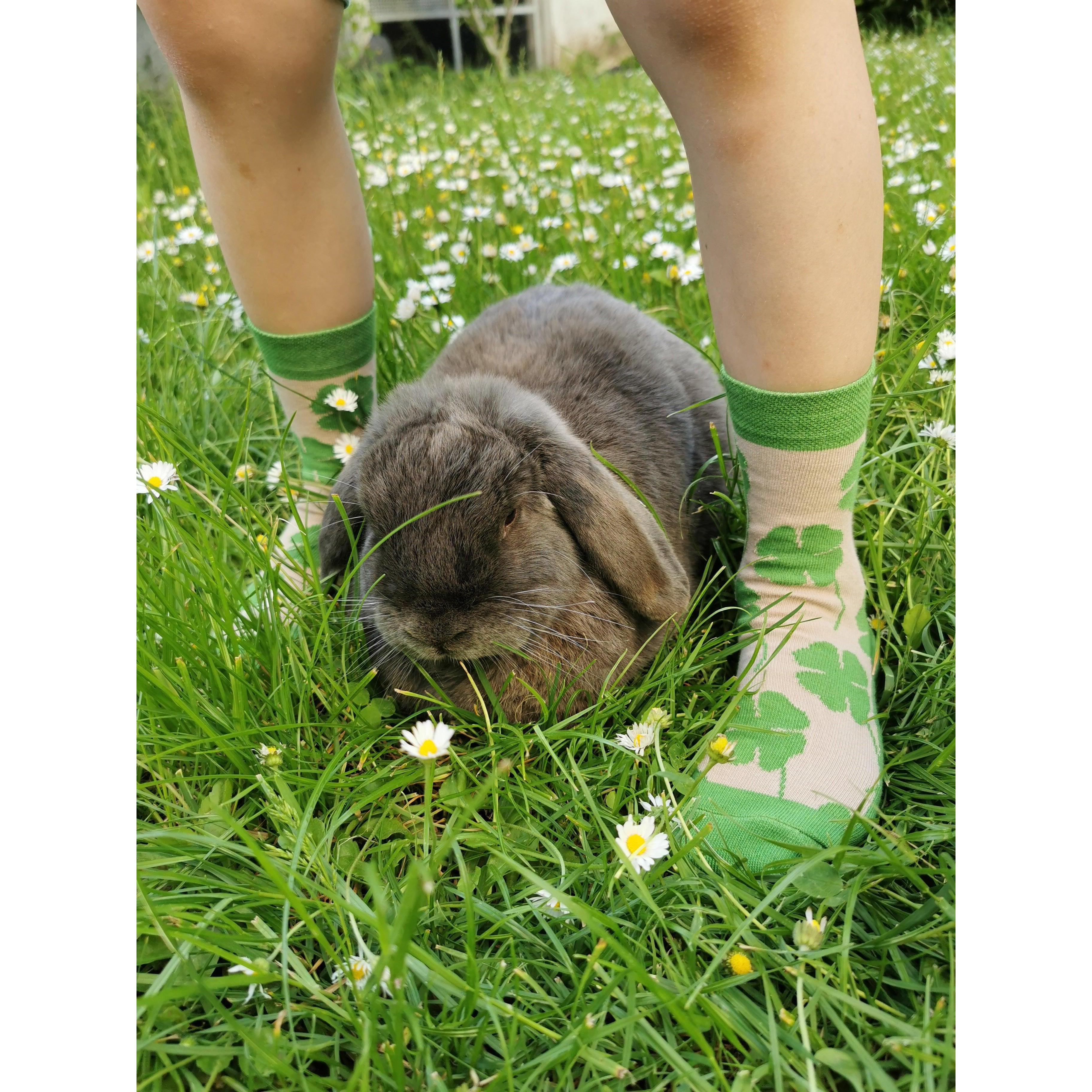Fräulein Prusselise - Organic Crew Socks - Clovers