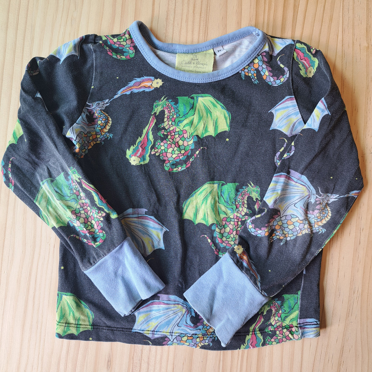 Hoopla Kids Re-Loved - RE-Loved - Coddi & Womple Dragon Long Sleeve Top (2 Years)