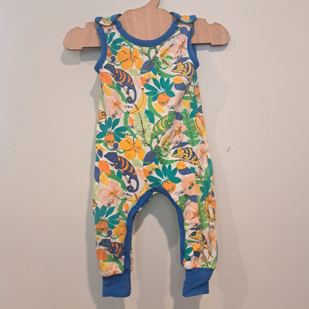 Hoopla Kids Re-Loved - RE-Loved - DUNS Chameleon Dungarees (4 - 6 Months)