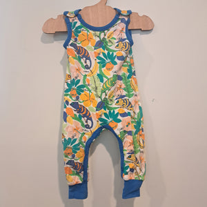 Hoopla Kids Re-Loved - RE-Loved - DUNS Chameleon Dungarees (4 - 6 Months)