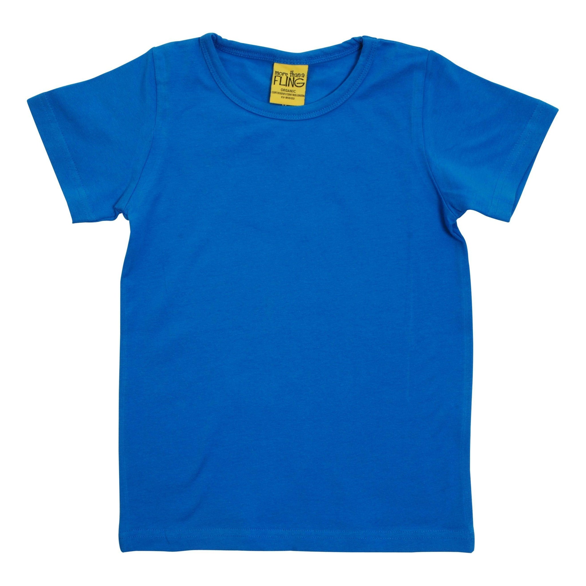 More than a FLING - Blue Aster Short Sleeved Top
