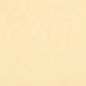 More Than A FLING - Golden Haze Women's Short Sleeved Top (Large)