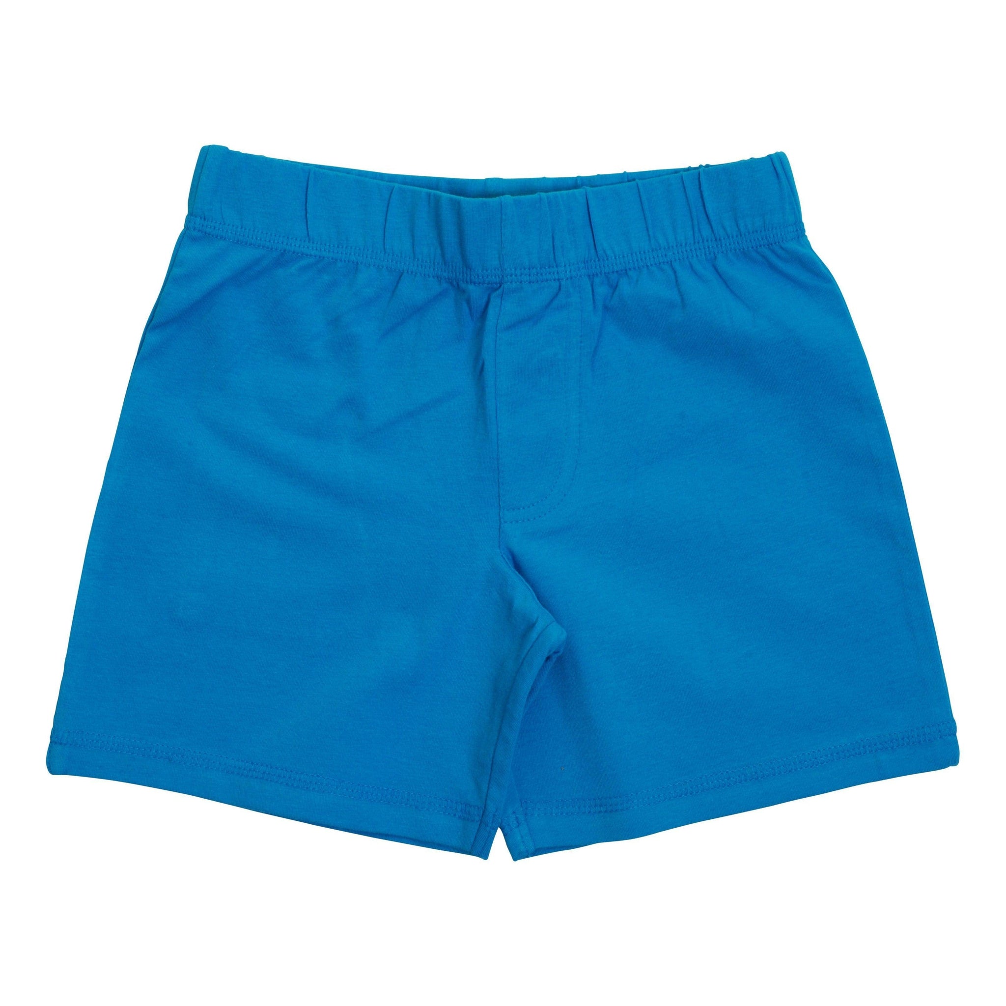 More Than A FLING - Hawaiian Blue Shorts